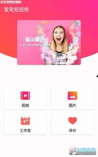 笑笑视频网站,欢乐无限，笑点爆棚的短视频盛宴