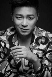 男歌星明星人气榜,盘点乐坛璀璨之星