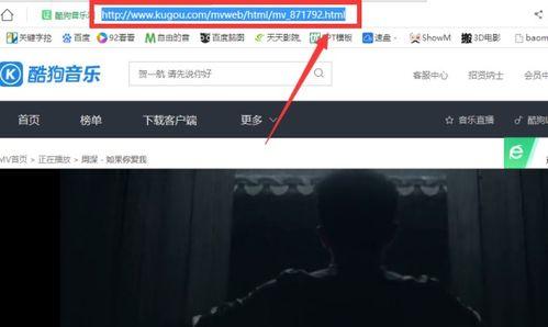 高清歌曲视频下载,一键下载热门歌曲视频
