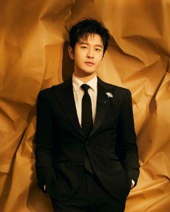内地演员男明星,魅力四溢的影视界新星