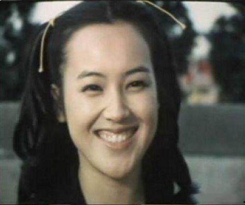 日本荒木演员,日本影视界的璀璨星辰
