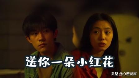 小红花电影在线观看免费,免费在线观看，开启欢乐时光之旅