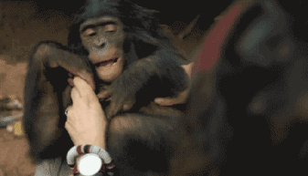 挠胳肢视频,笑点满满，揭秘人体敏感区的奥秘