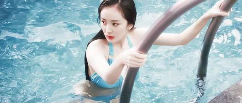 娱乐杨幂大爆料视频合集,娱乐大爆料视频合集精彩回顾