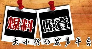 重庆新闻爆料官方平台,聚焦城市热点，解码民生故事