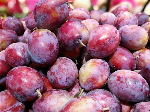 娱乐吃瓜少女西梅拿铁,娱乐吃瓜少女的趣味生活揭秘