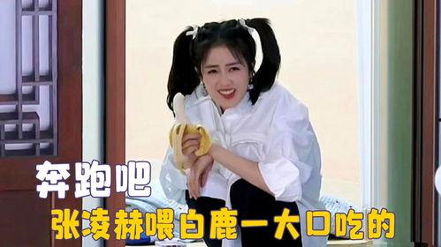 爱豆吃瓜娱乐白鹿