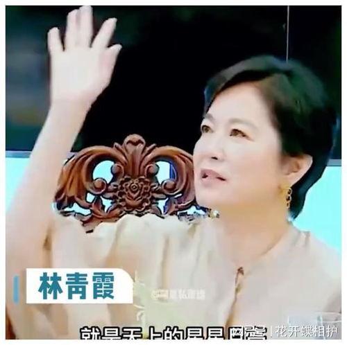 真千金吃瓜系统娱乐圈,瓜田里的璀璨星光
