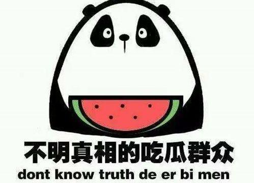 搞笑吃瓜娱乐,娱乐圈欢乐大揭秘