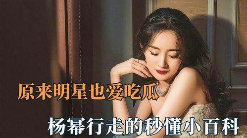 吃瓜娱乐杨幂视频下载免费观看,一网打尽吃瓜乐趣
