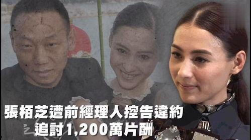 娱乐吃瓜趣闻